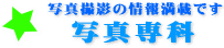 Be|CgAhoCXAReXgȂǎBeɊւ񖞍ځI